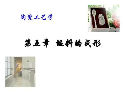 6陶瓷坯料的成形