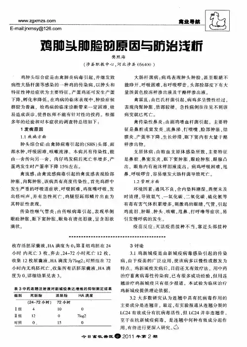 鸡肿头肿脸的原因与防治浅析