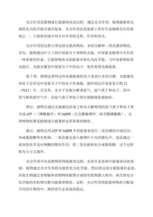 七年级生物光合作用