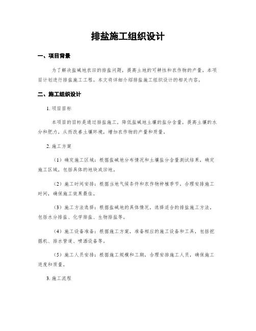 排盐施工组织设计