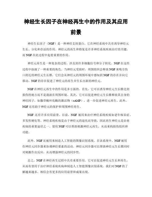神经生长因子在神经再生中的作用及其应用前景