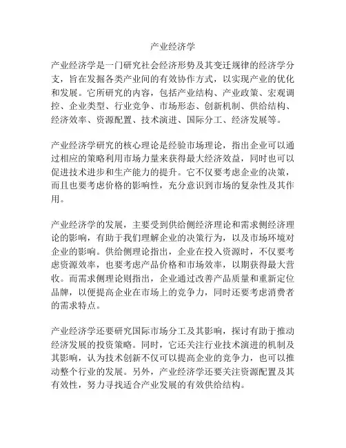 产业经济学