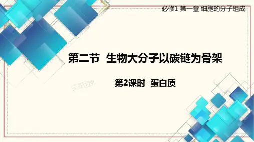 蛋白质课件高一上学期生物浙科版必修1