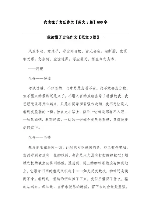 我读懂了责任作文