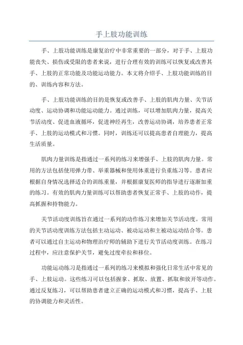 手上肢功能训练