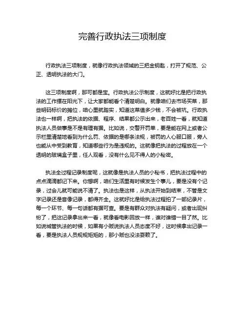 完善行政执法三项制度