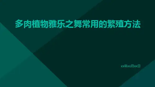 多肉植物雅乐之舞常用的繁殖方法