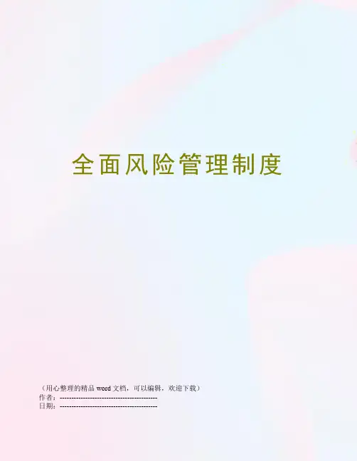 全面风险管理制度