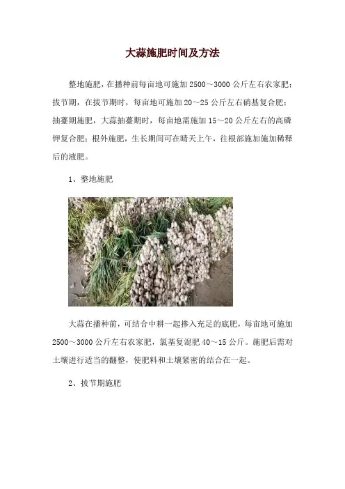 大蒜施肥时间及方法