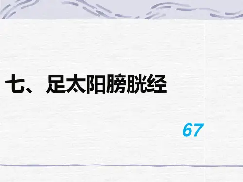67经络-8膀胱经讲解