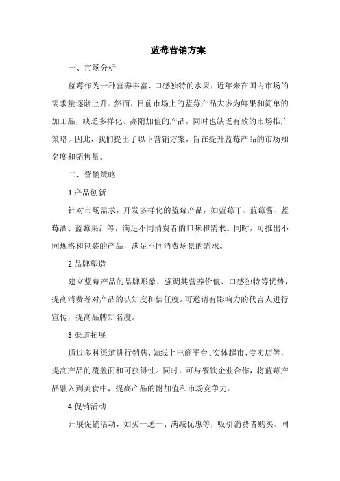 蓝莓营销方案