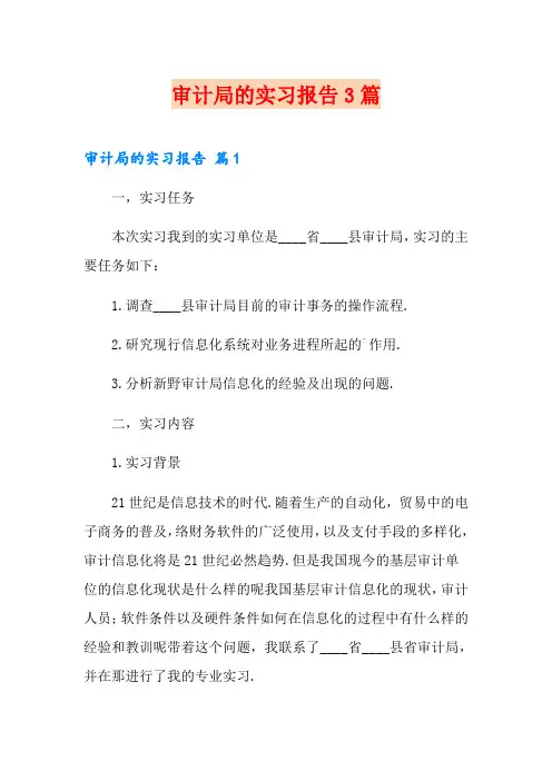 审计局的实习报告3篇