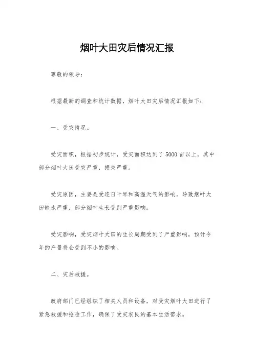 烟叶大田灾后情况汇报