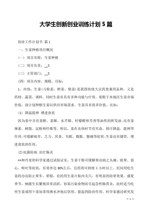 大学生创新创业训练计划5篇