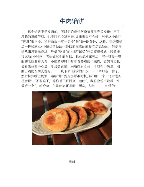 牛肉馅饼【精品汤粥教程】