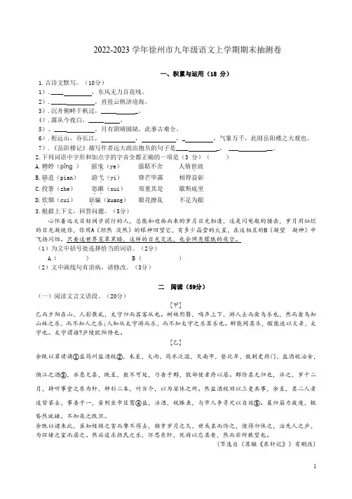2022-2023学年徐州市九年级语文上学期期末抽测卷附答案解析