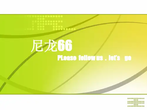 尼龙66(更新)
