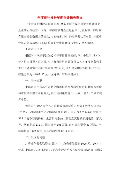 2019年年度审计报告年度审计报告范文
