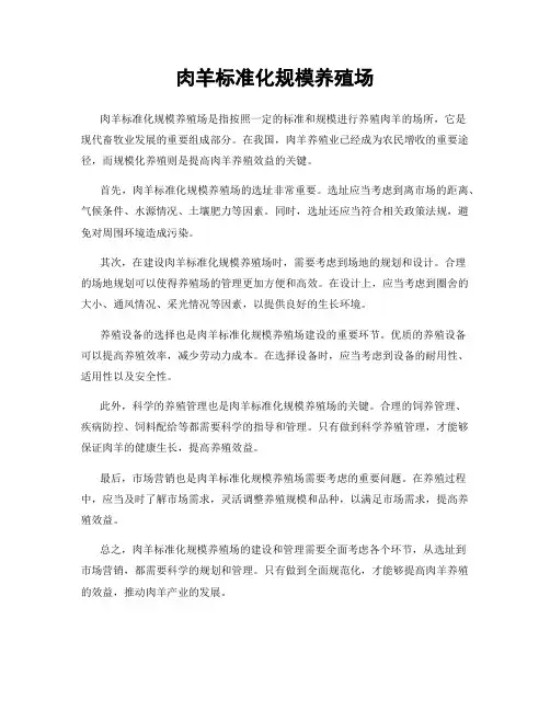 肉羊标准化规模养殖场
