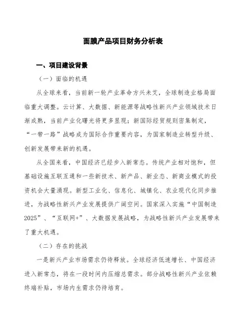 面膜产品项目财务分析表