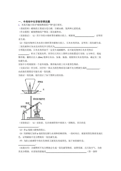 中考化学 探究题 培优练习(含答案)及详细答案
