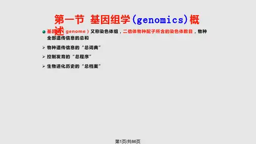 动物基因组学基础PPT课件