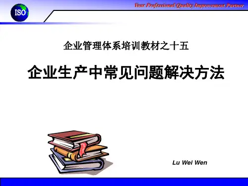 企业生产中的常见问题解决方法PPT课件