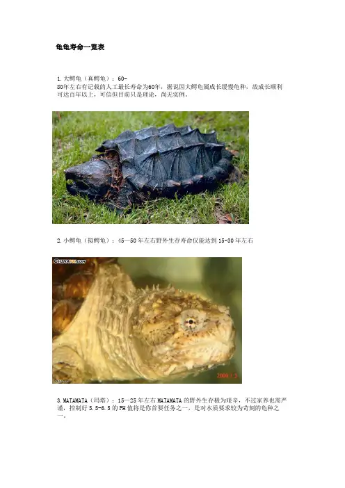 龟龟寿命一览表