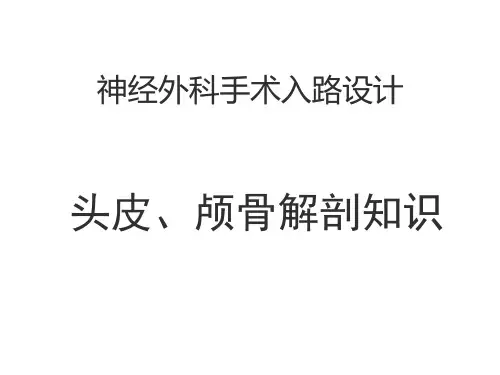 神经外科手术入路设计-头皮颅骨解剖知识【最终版】