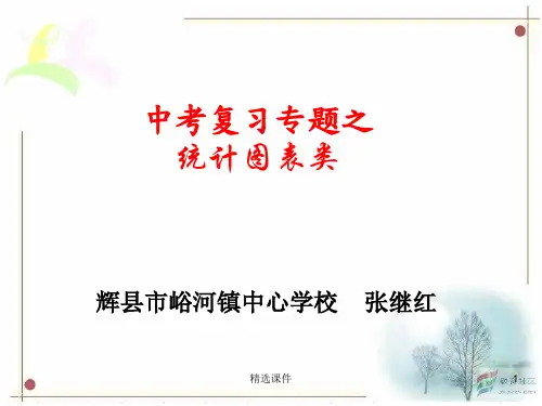 中考图表类——表格题讲述演示课件.ppt