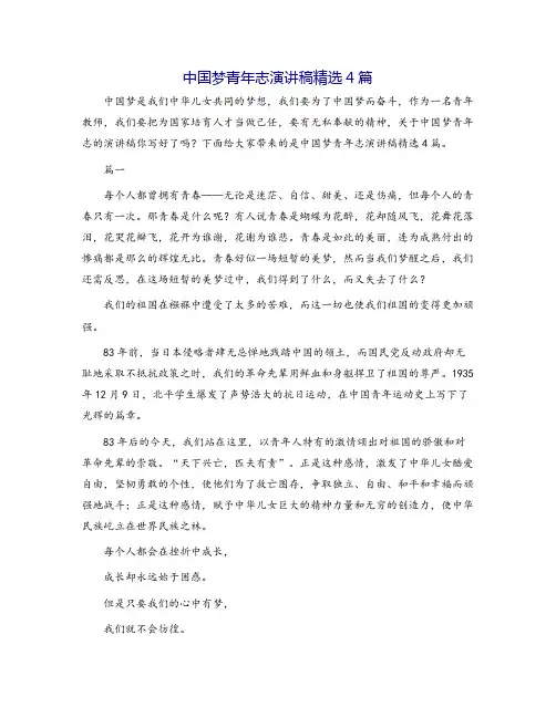 中国梦青年志演讲稿精选4篇