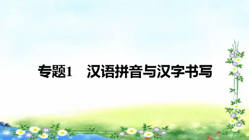 湖南省长沙市初中语文中考二轮专题复习--专题1 汉语拼音与汉字书写课件(共201张)