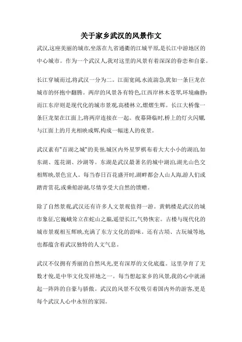 关于家乡武汉的风景作文