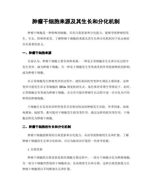 肿瘤干细胞来源及其生长和分化机制