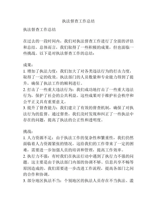 执法督查工作总结