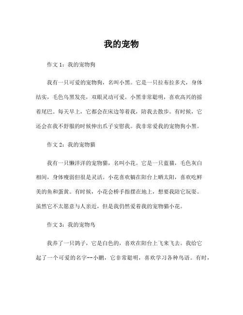 小学一年级写话作文我的宠物100字左右范文5篇