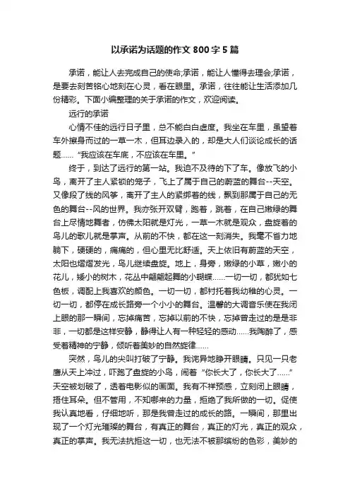 以承诺为话题的作文800字5篇