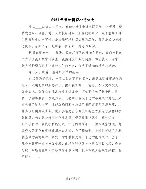 2024年审计调查心得体会(2篇)