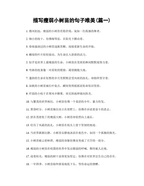 描写瘦弱小树苗的句子唯美(精选合集2篇)