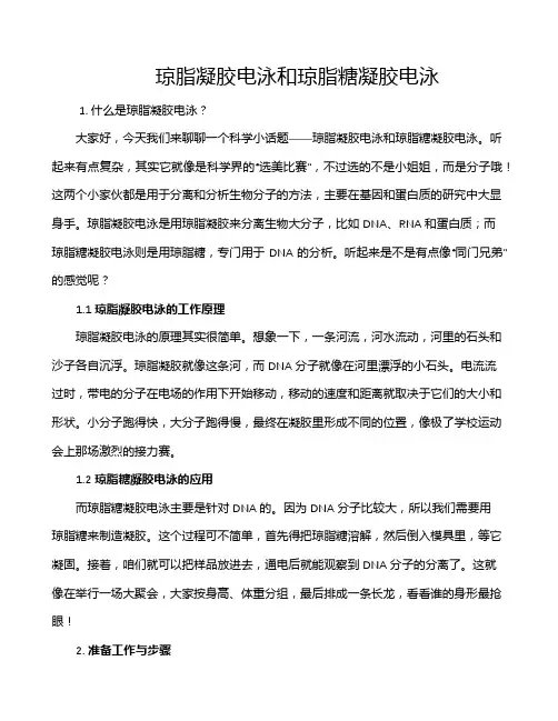 琼脂凝胶电泳和琼脂糖凝胶电泳