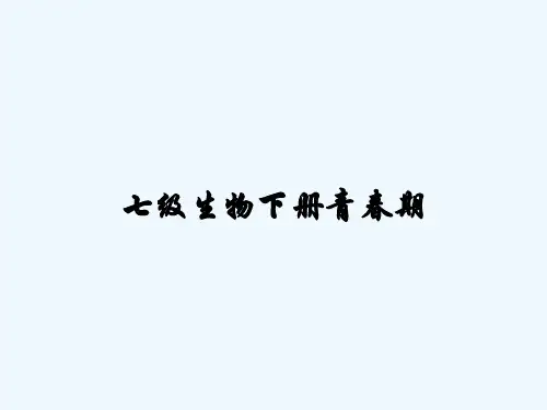 七级生物下册青春期-PPT