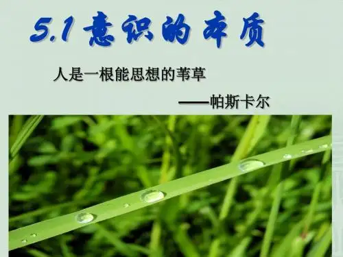 高中政治必修4《生活与哲学》5.1 意识的本质