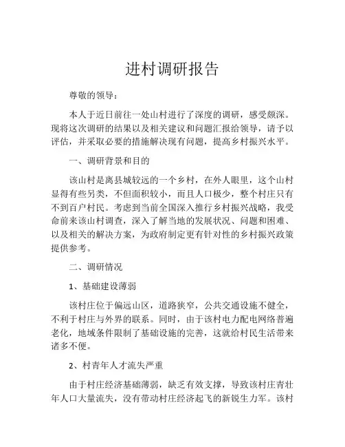 进村调研报告
