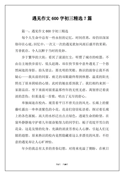 遇见作文600字初三精选7篇