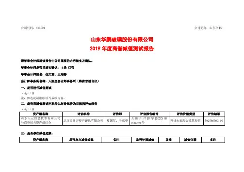 山东华鹏：2019年度商誉减值测试报告