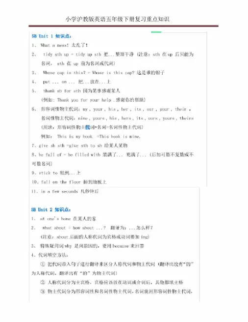 小学沪教版英语五年级下册复习重点知识