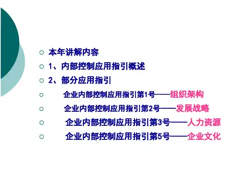 内部控制应用指引概述新41页PPT