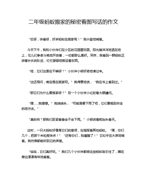 二年级蚂蚁搬家的秘密看图写话的作文