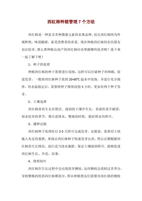 西红柿种植管理7个方法