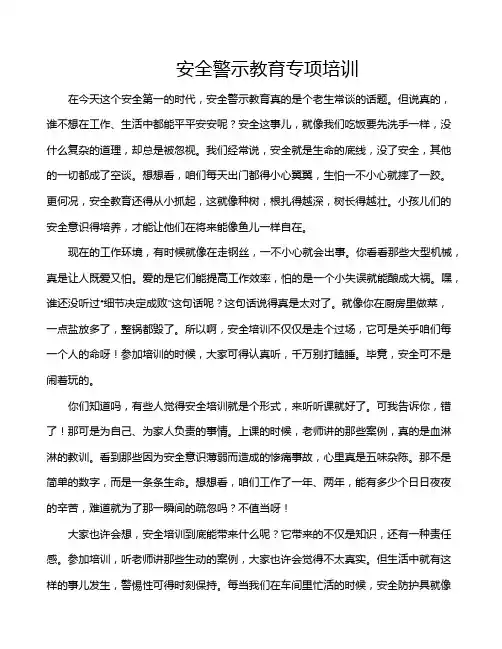 安全警示教育专项培训